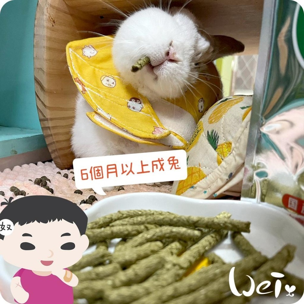 魏啥麻-日本HI PET橘惠 成兔牧草主食飼料 830g(低鈣 無苜蓿 高蛋白(13-15%) 乳酸菌)兔飼料-細節圖2