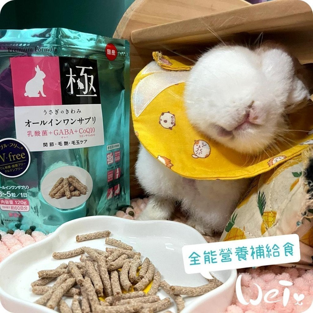 魏啥麻-日本HI PET藍極全能營養補給食120g (無穀無麩質 腸道關節毛髮 2種乳酸菌 Q10 膠原蛋白)兔 天竺鼠-細節圖2