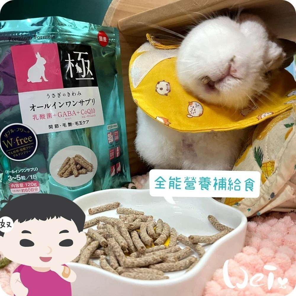 魏啥麻-日本HI PET藍極全能營養補給食120g (無穀無麩質 腸道關節毛髮 2種乳酸菌 Q10 膠原蛋白)兔 天竺鼠-細節圖3