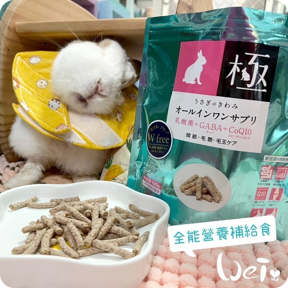 魏啥麻-日本HI PET藍極全能營養補給食120g (無穀無麩質 腸道關節毛髮 2種乳酸菌 Q10 膠原蛋白)兔 天竺鼠-細節圖4