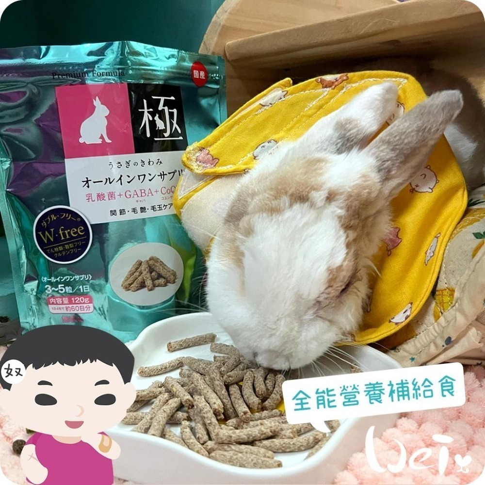 魏啥麻-日本HI PET藍極全能營養補給食120g (無穀無麩質 腸道關節毛髮 2種乳酸菌 Q10 膠原蛋白)兔 天竺鼠-細節圖5