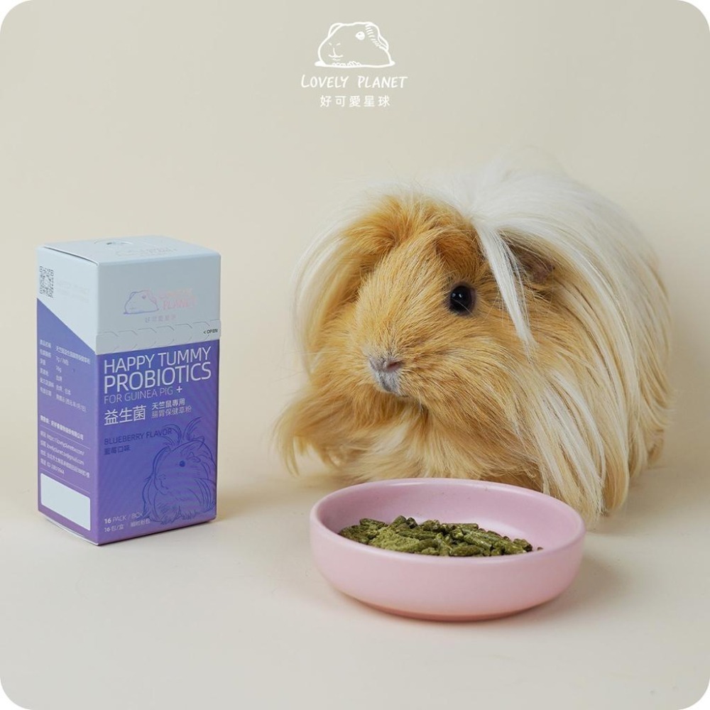魏啥麻-好可愛星球天竺鼠益生菌 原味 1盒入 (草粉狀 腸道保健 促進食慾) Lovely Planet (保健品)-細節圖8