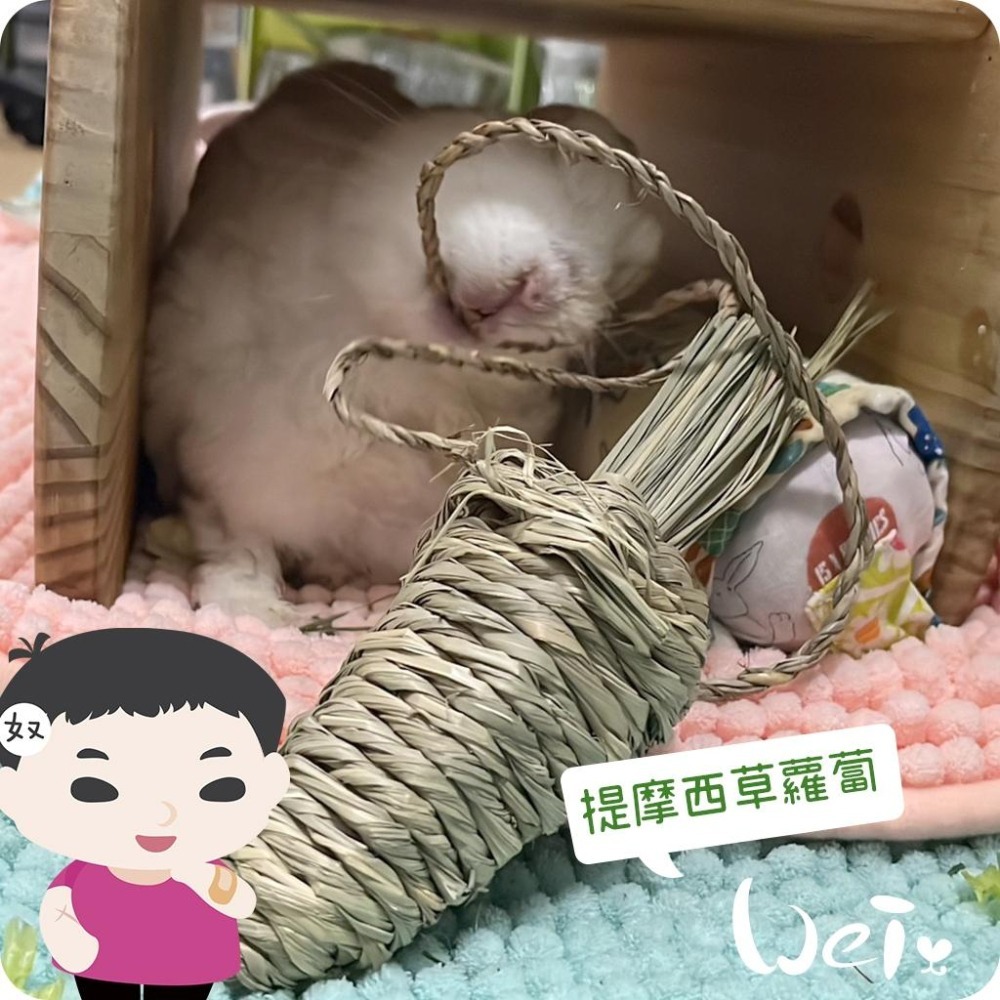 魏啥麻-美國OXBOW 提摩西草蘿蔔 (磨牙草編玩具)(兔 天竺鼠 龍貓牧草玩具)-細節圖2