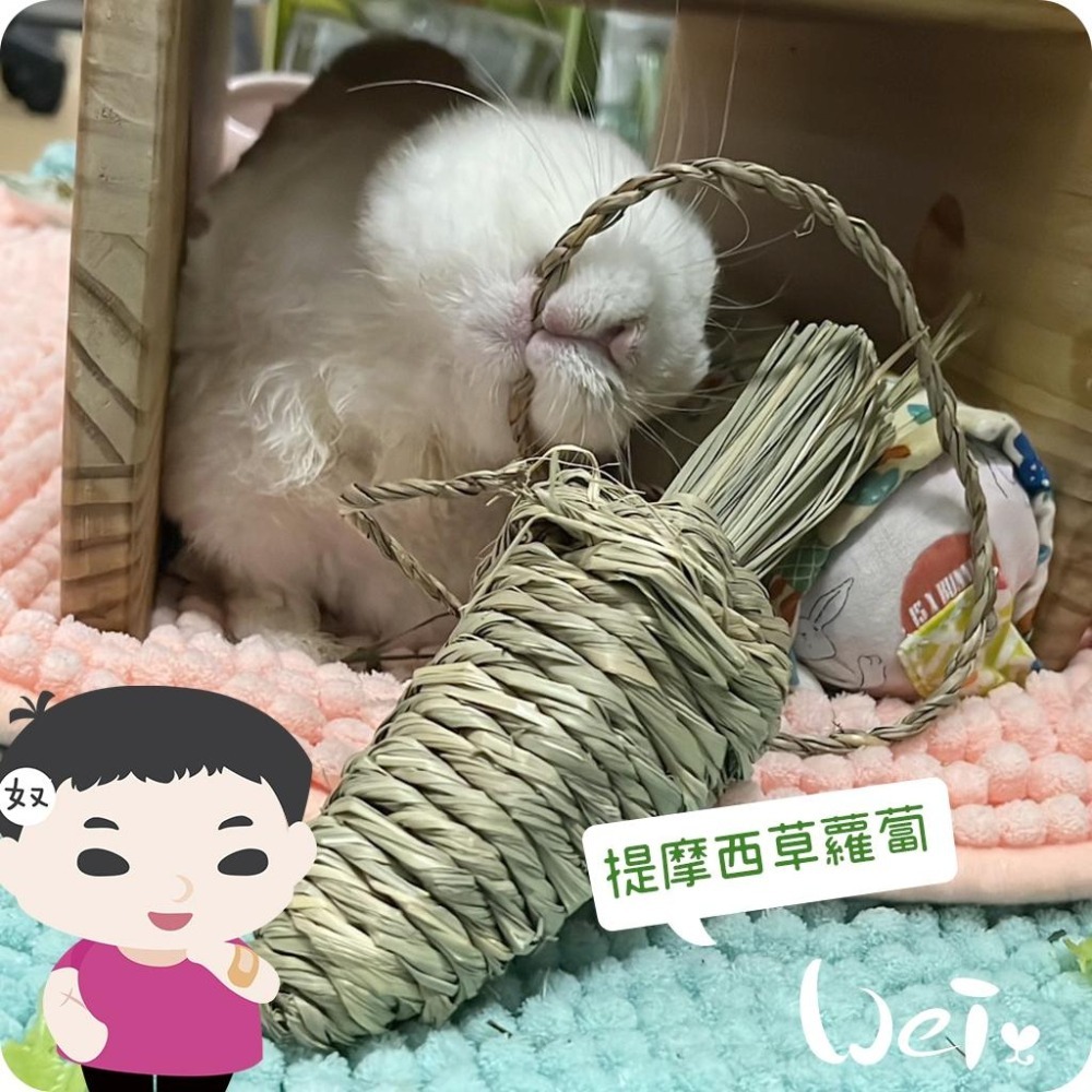 魏啥麻-美國OXBOW 提摩西草蘿蔔 (磨牙草編玩具)(兔 天竺鼠 龍貓牧草玩具)-細節圖3