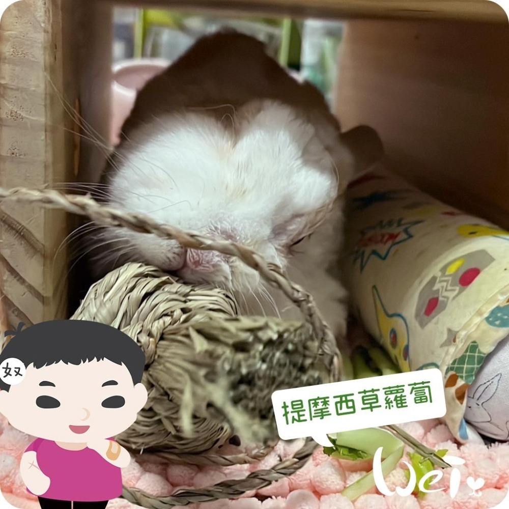 魏啥麻-美國OXBOW 提摩西草蘿蔔 (磨牙草編玩具)(兔 天竺鼠 龍貓牧草玩具)-細節圖4