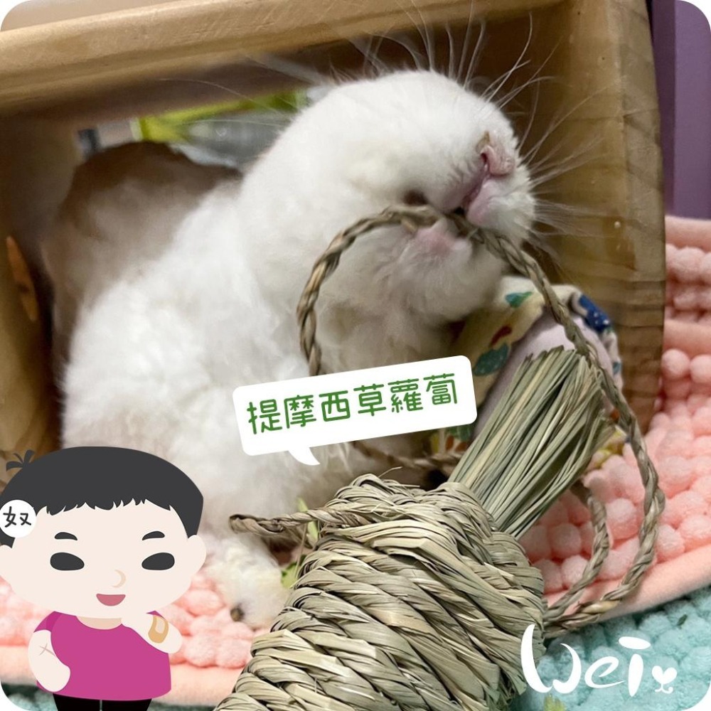 魏啥麻-美國OXBOW 提摩西草蘿蔔 (磨牙草編玩具)(兔 天竺鼠 龍貓牧草玩具)-細節圖5