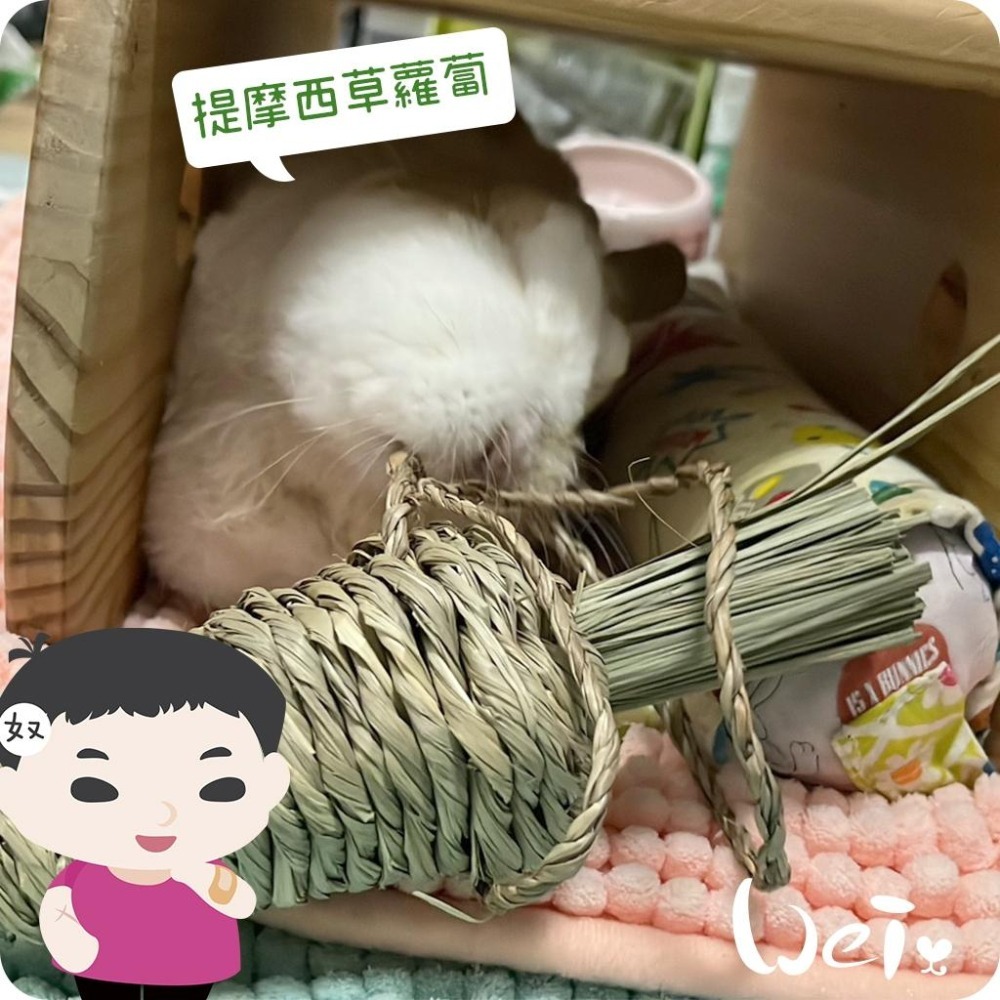 魏啥麻-美國OXBOW 提摩西草蘿蔔 (磨牙草編玩具)(兔 天竺鼠 龍貓牧草玩具)-細節圖6