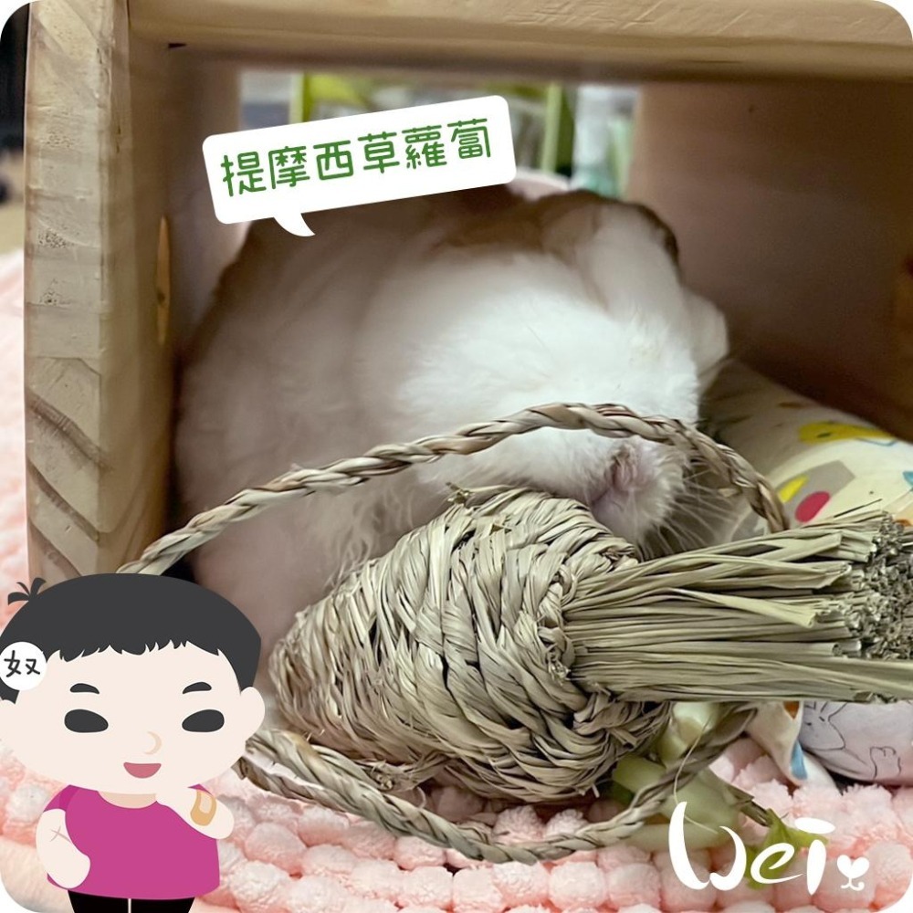 魏啥麻-美國OXBOW 提摩西草蘿蔔 (磨牙草編玩具)(兔 天竺鼠 龍貓牧草玩具)-細節圖7