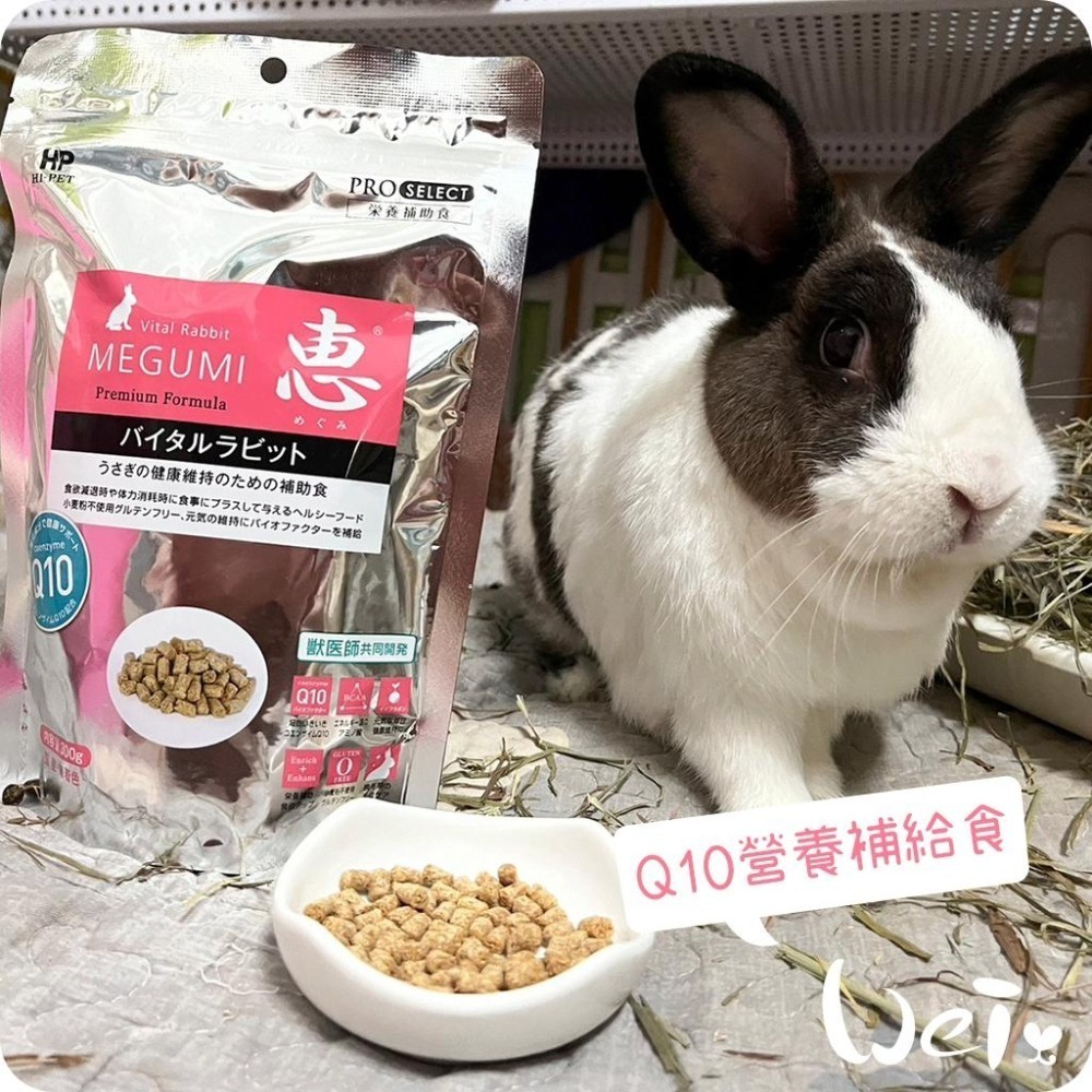 魏啥麻-日本HI PET 惠 Q10營養補給食 300g (低鈣 蛋白質(18%) Q10 無麩質)兔 天竺鼠保健品-細節圖2