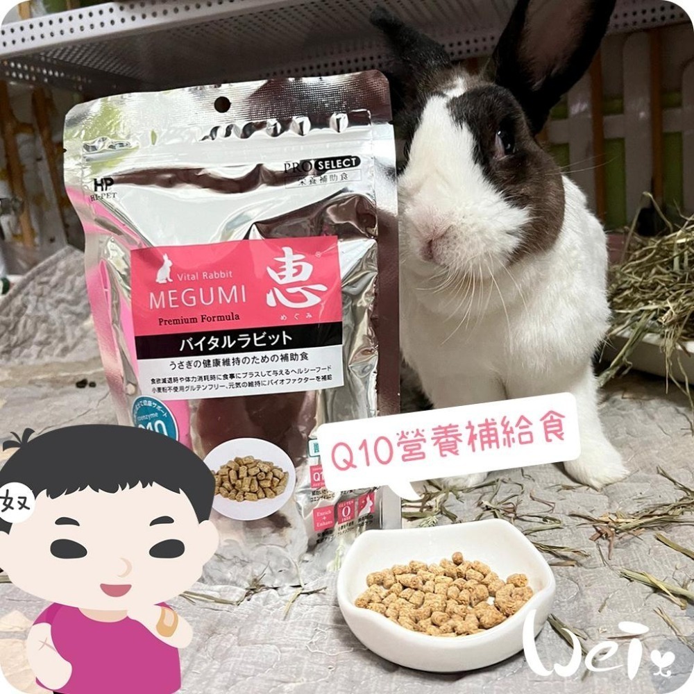 魏啥麻-日本HI PET 惠 Q10營養補給食 300g (低鈣 蛋白質(18%) Q10 無麩質)兔 天竺鼠保健品-細節圖3