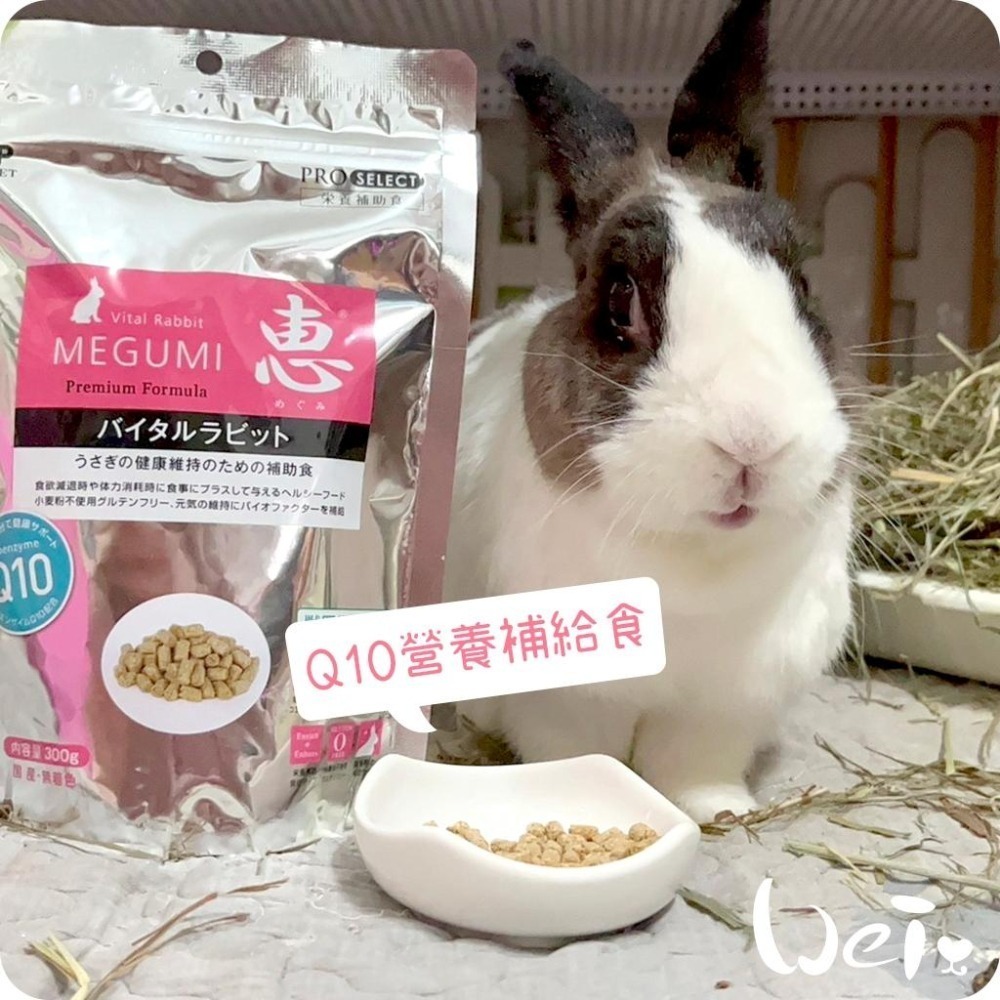 魏啥麻-日本HI PET 惠 Q10營養補給食 300g (低鈣 蛋白質(18%) Q10 無麩質)兔 天竺鼠保健品-細節圖6
