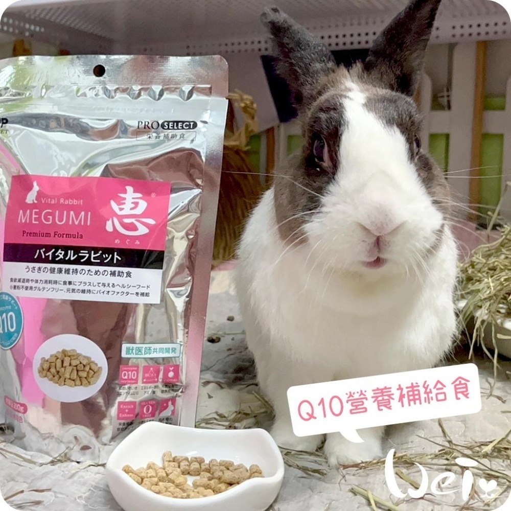 魏啥麻-日本HI PET 惠 Q10營養補給食 300g (低鈣 蛋白質(18%) Q10 無麩質)兔 天竺鼠保健品-細節圖9