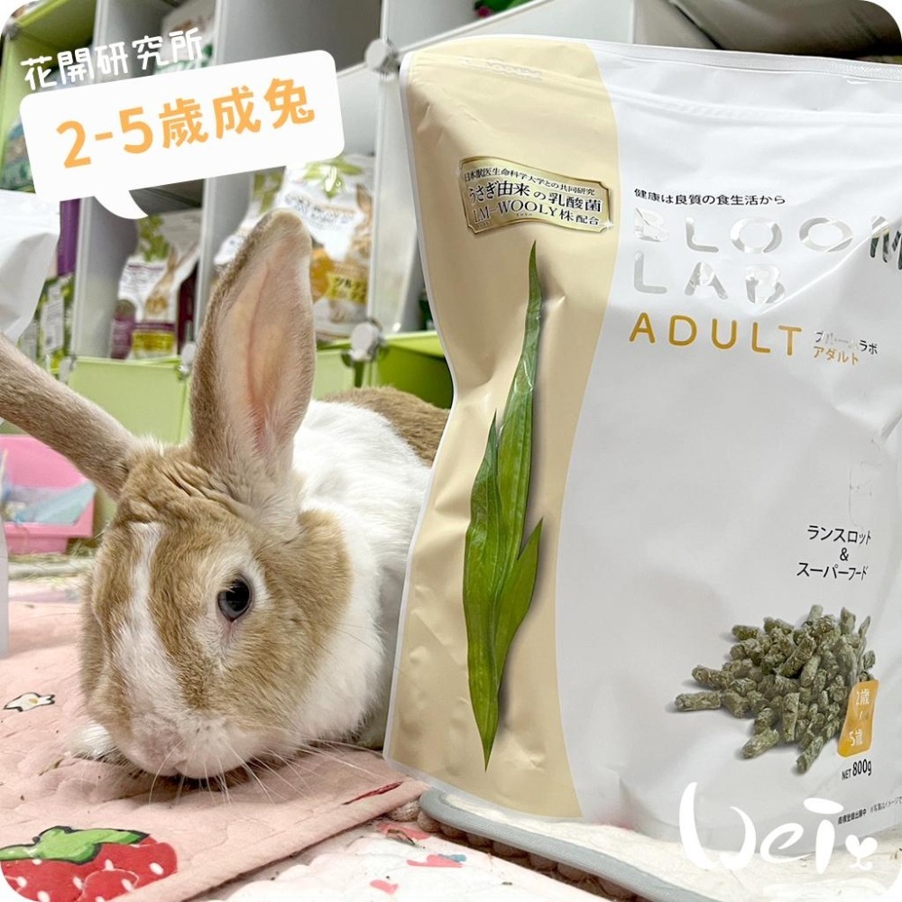 魏啥麻-日本WOOLY花開研究所2-5歲成兔飼料 800g(無小麥 低鈣  鬆軟 辣木葉 螺旋藻 乳酸菌)兔飼料-細節圖2
