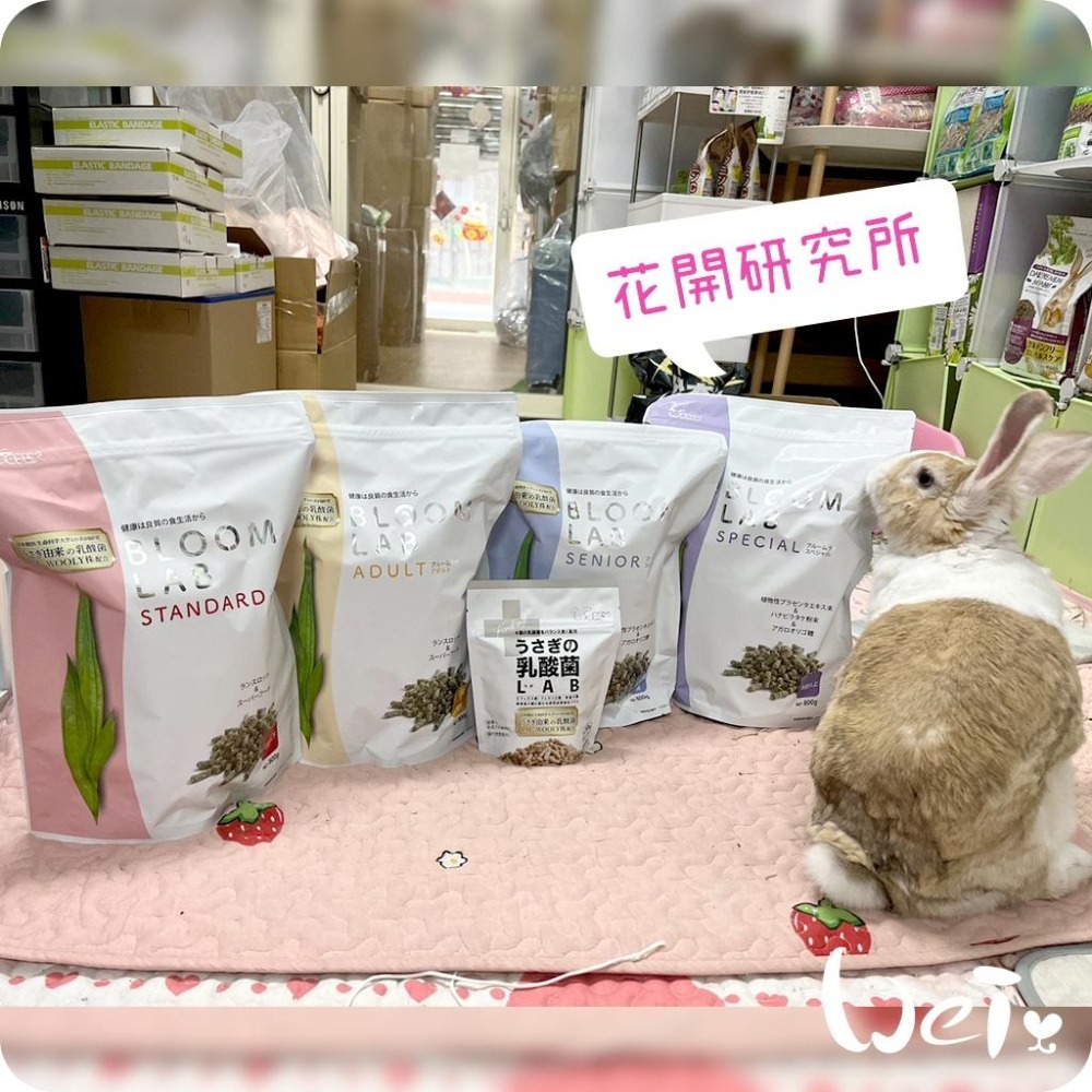 魏啥麻-日本WOOLY花開研究所2-5歲成兔飼料 800g(無小麥 低鈣  鬆軟 辣木葉 螺旋藻 乳酸菌)兔飼料-細節圖3