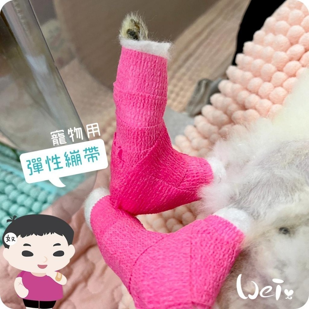 魏啥麻-裹腳布 可愛彈性繃帶 自黏繃帶 / 寵物手腳、胼胝、關節 寵物照護用品(兔 貓狗)-細節圖2