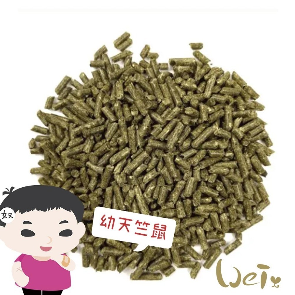 魏啥麻-美國OXBOW活力幼天竺鼠配方飼料 5磅(2.3kg) (高蛋白質 高鈣 高卡路里)天竺鼠飼料-細節圖2