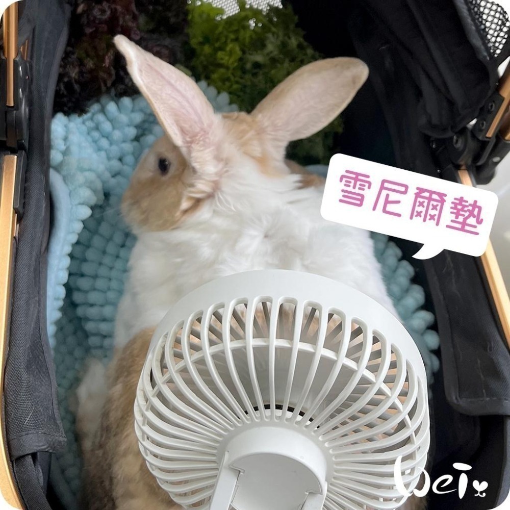 魏啥麻-雪尼爾墊 (加厚的毛巾觸感.不滑.吸水快速快乾.軟便黏住好清洗.可長時間使用)(兔 天竺鼠)-細節圖4