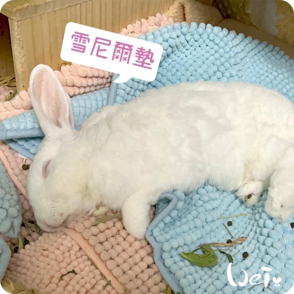 魏啥麻-雪尼爾墊 (加厚的毛巾觸感.不滑.吸水快速快乾.軟便黏住好清洗.可長時間使用)(兔 天竺鼠)-細節圖6