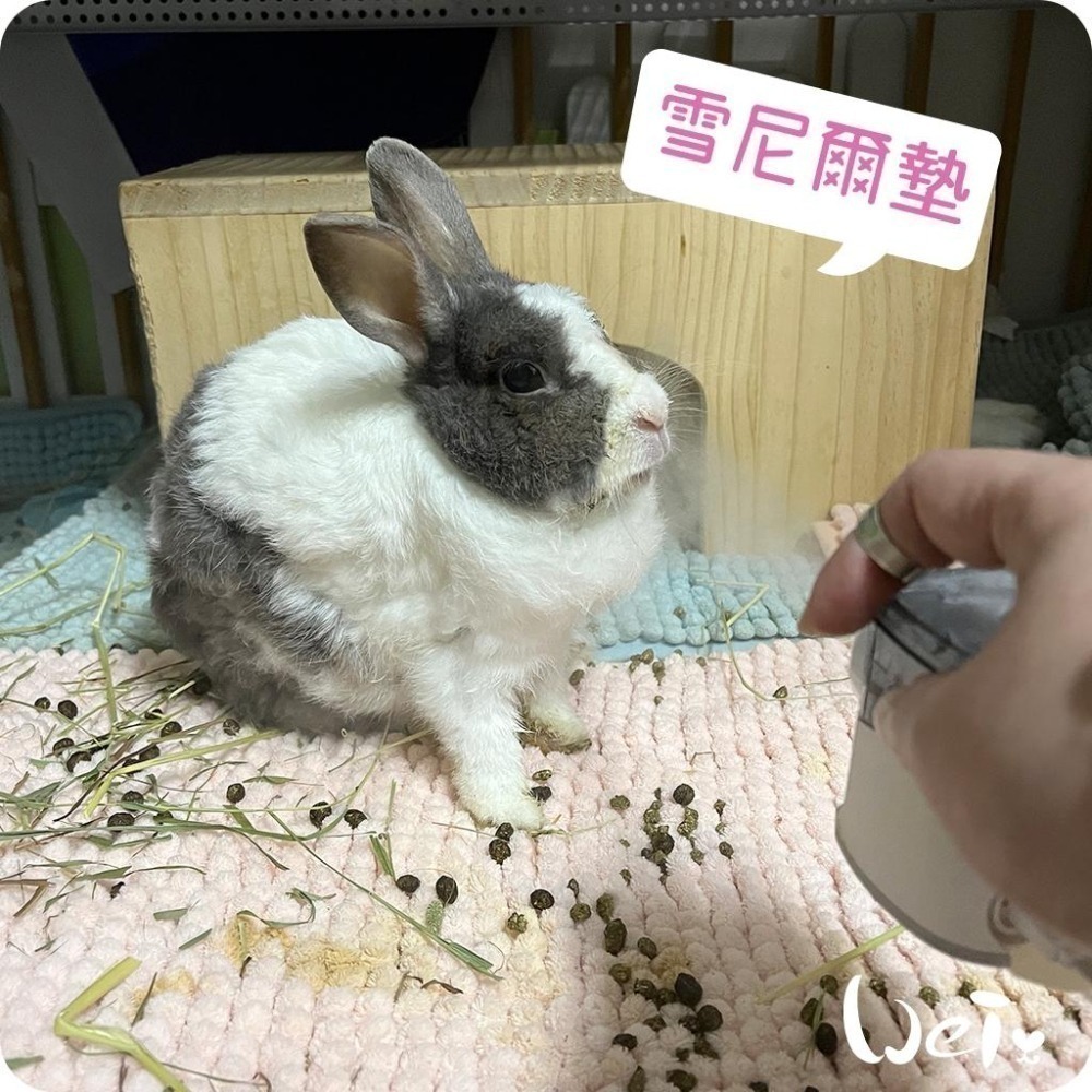 魏啥麻-雪尼爾墊 (加厚的毛巾觸感.不滑.吸水快速快乾.軟便黏住好清洗.可長時間使用)(兔 天竺鼠)-細節圖8