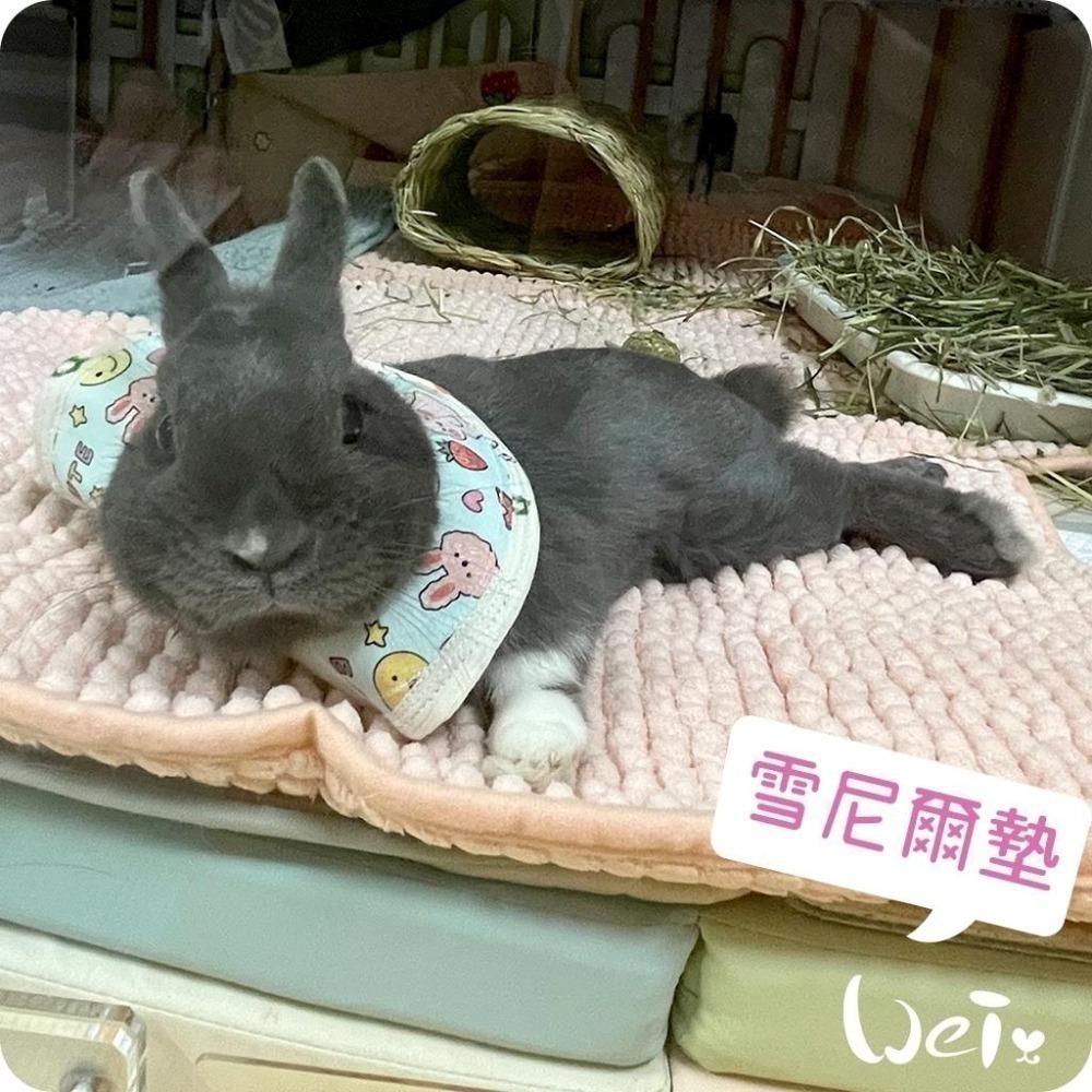 魏啥麻-雪尼爾墊 (加厚的毛巾觸感.不滑.吸水快速快乾.軟便黏住好清洗.可長時間使用)(兔 天竺鼠)-細節圖5