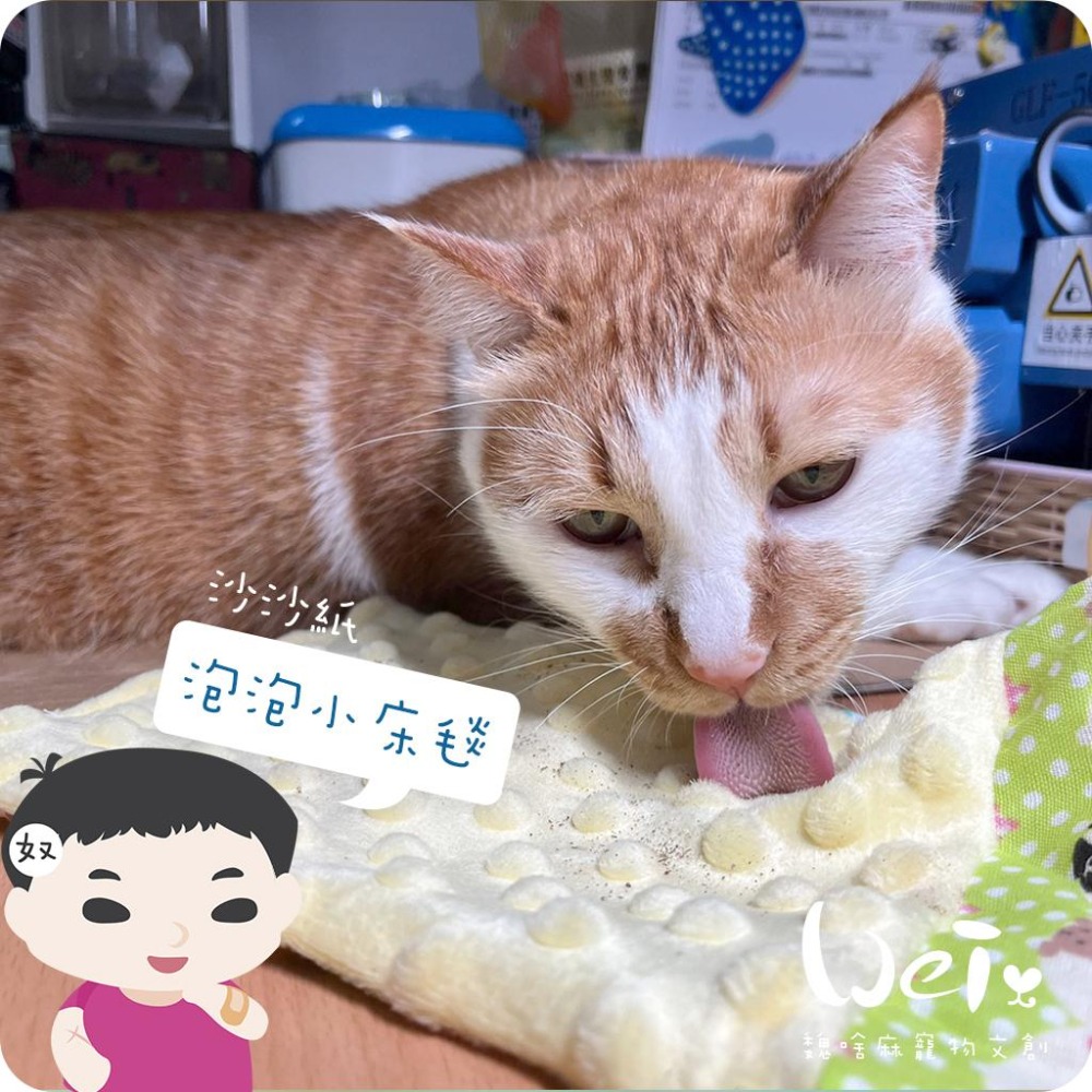 魏啥麻手作-【台灣製造】泡泡小床毯(沙沙響紙款)(兔 天竺鼠)-細節圖2