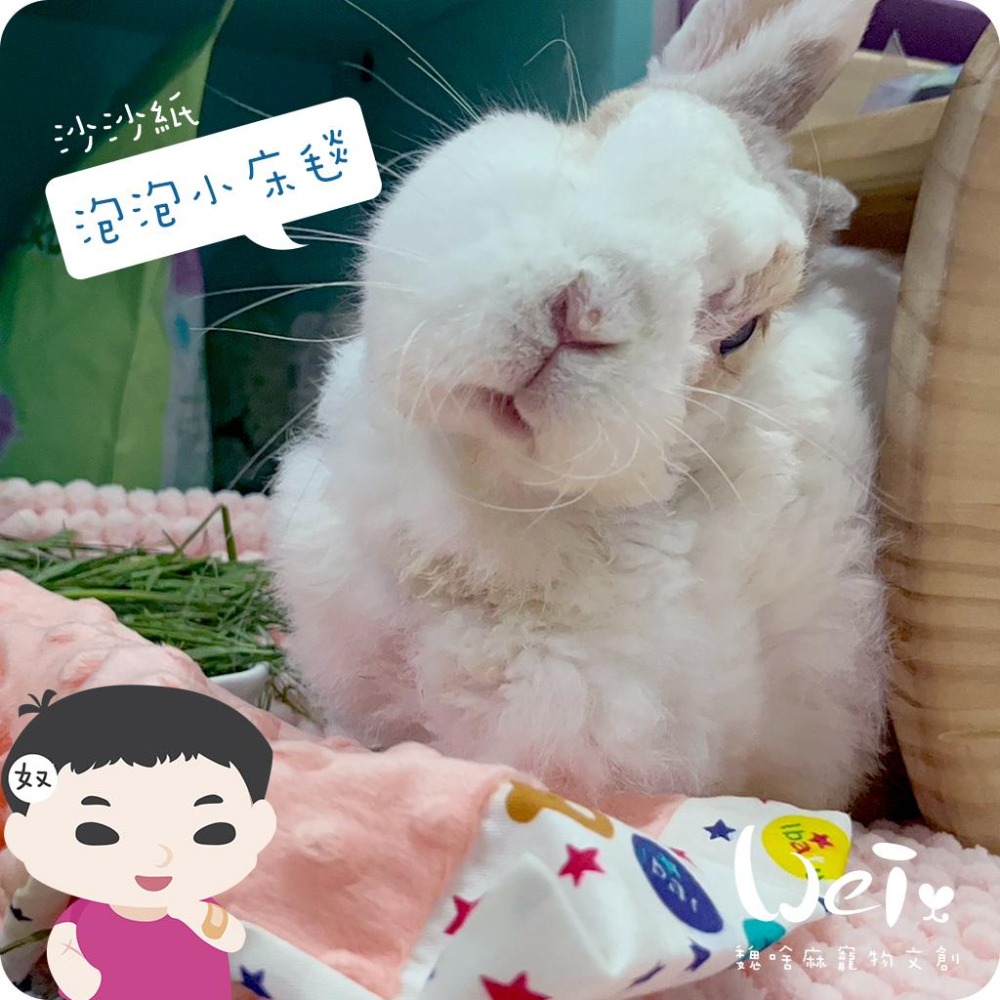 魏啥麻手作-【台灣製造】泡泡小床毯(沙沙響紙款)(兔 天竺鼠)-細節圖3