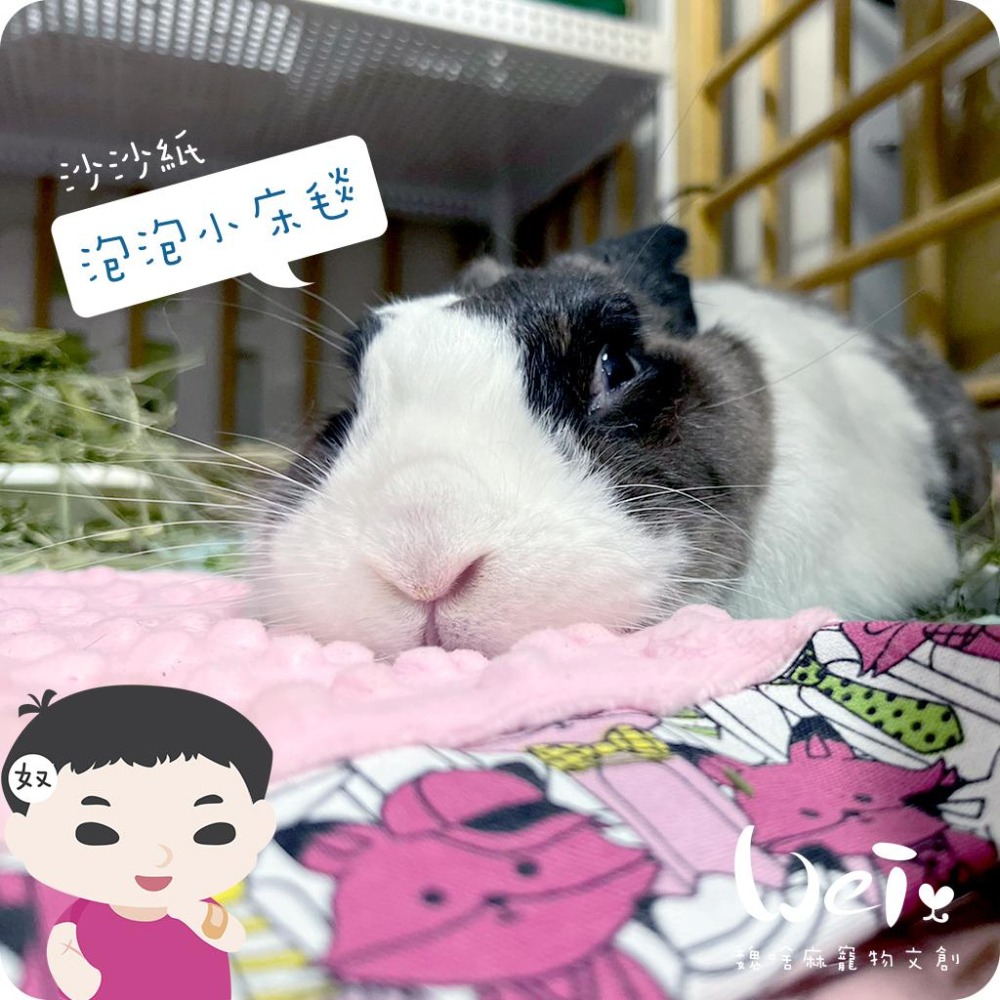 魏啥麻手作-【台灣製造】泡泡小床毯(沙沙響紙款)(兔 天竺鼠)-細節圖4
