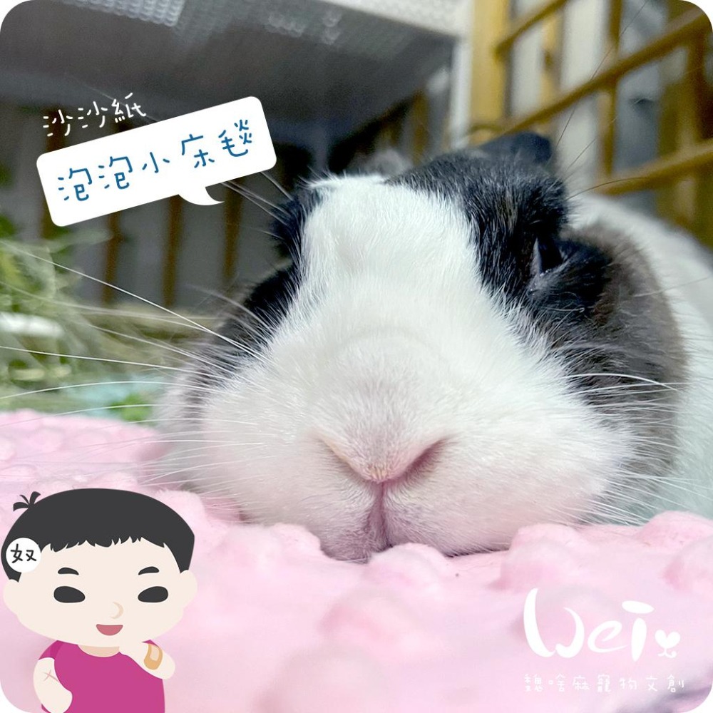 魏啥麻手作-【台灣製造】泡泡小床毯(沙沙響紙款)(兔 天竺鼠)-細節圖5