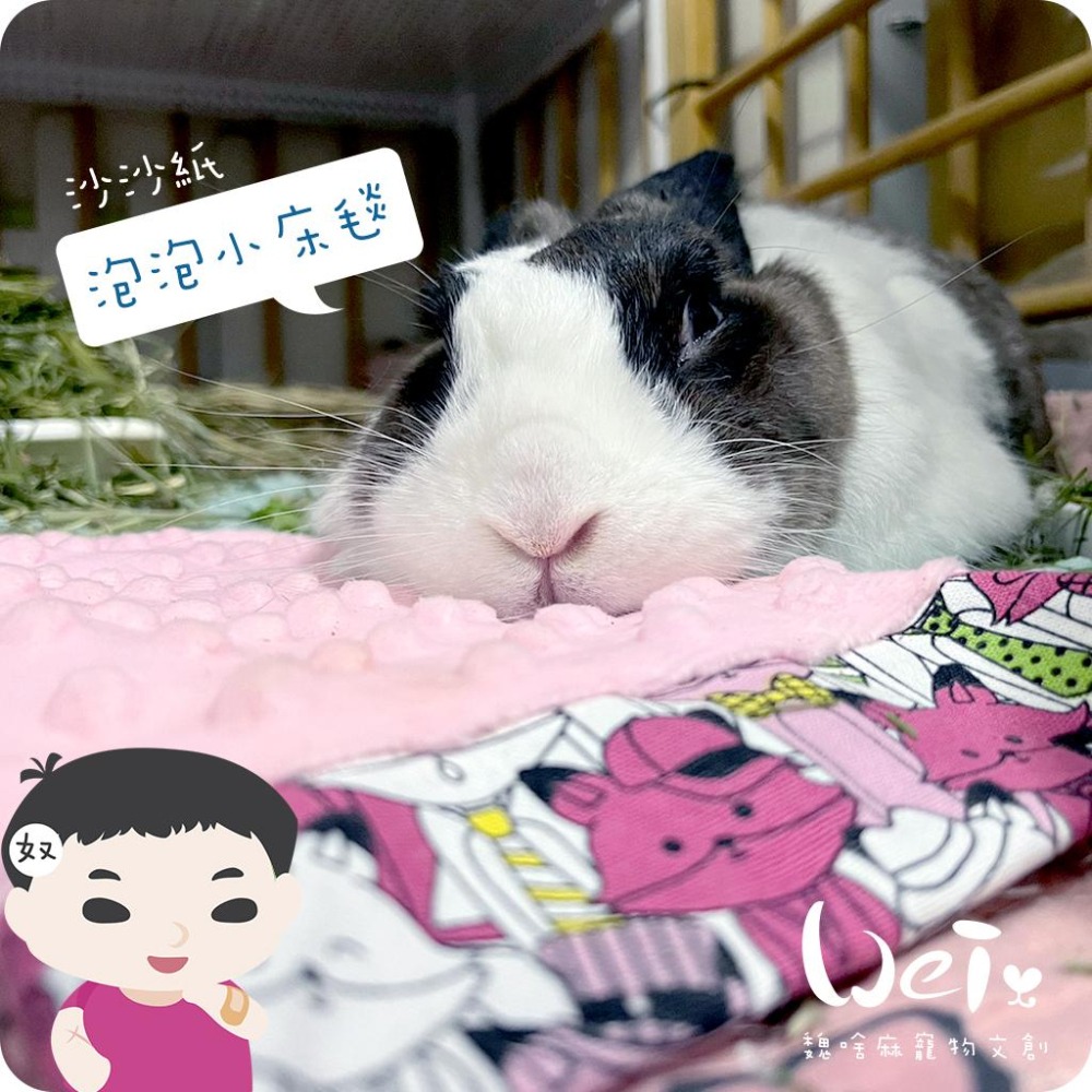魏啥麻手作-【台灣製造】泡泡小床毯(沙沙響紙款)(兔 天竺鼠)-細節圖6