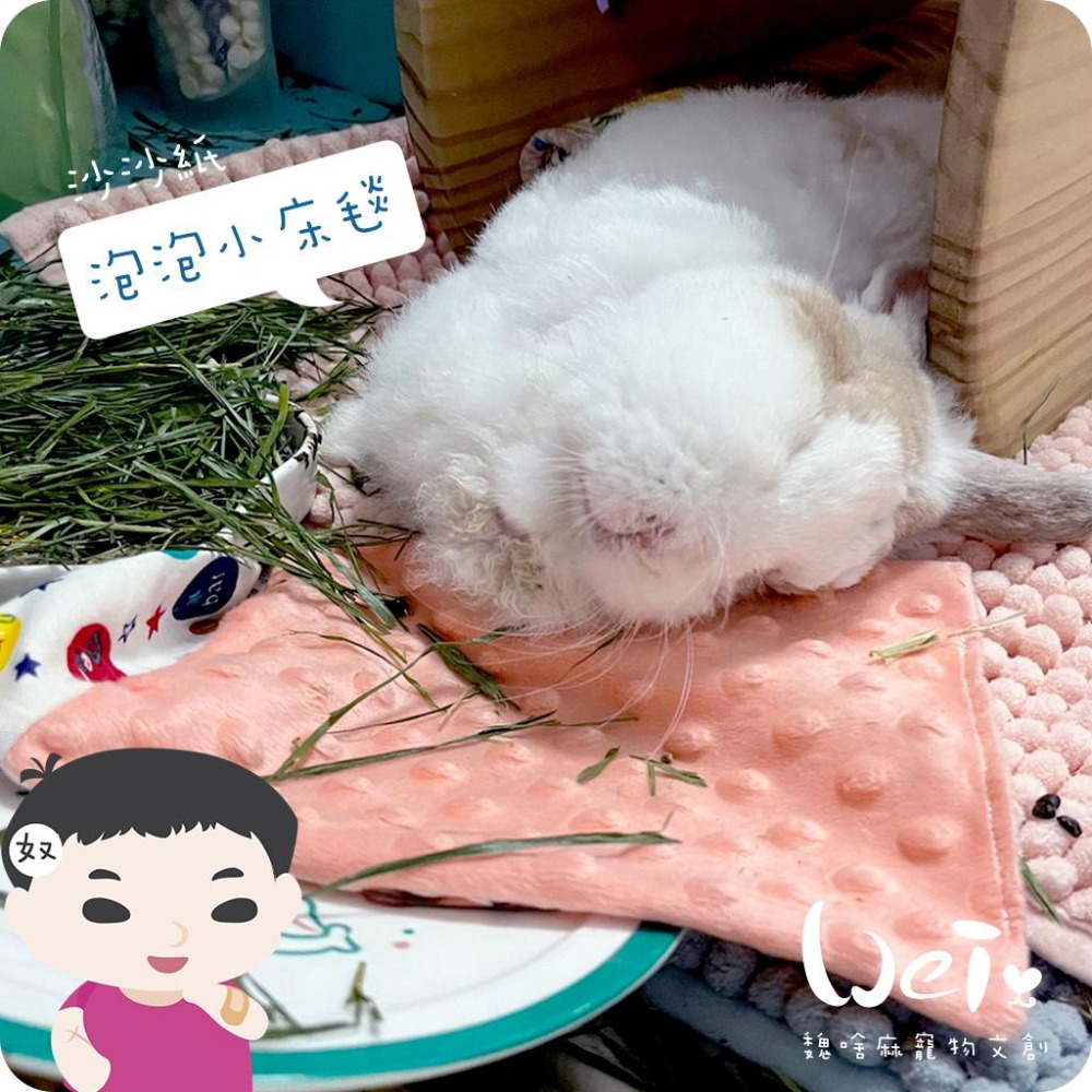 魏啥麻手作-【台灣製造】泡泡小床毯(沙沙響紙款)(兔 天竺鼠)-細節圖7