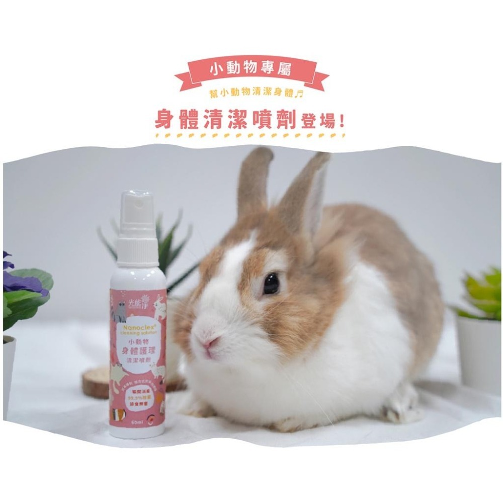 魏啥麻-光能淨 小動物身體護理清潔噴劑 60ml(寵物 兔 天竺鼠)-細節圖3