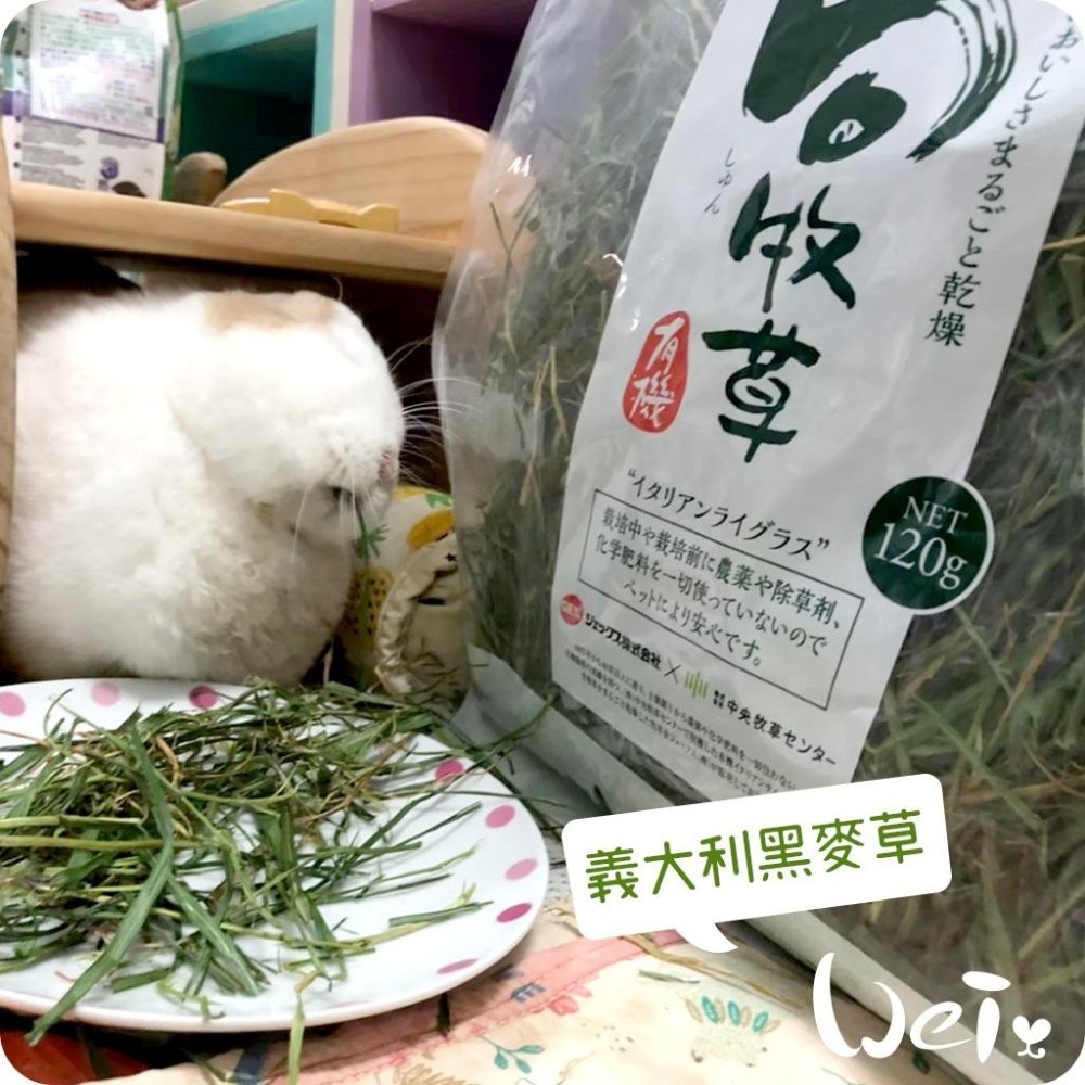 魏啥麻-日本GEX 旬 義大利黑麥草 120g / 300g(兔 天竺鼠 龍貓牧草)旬牧草-細節圖3