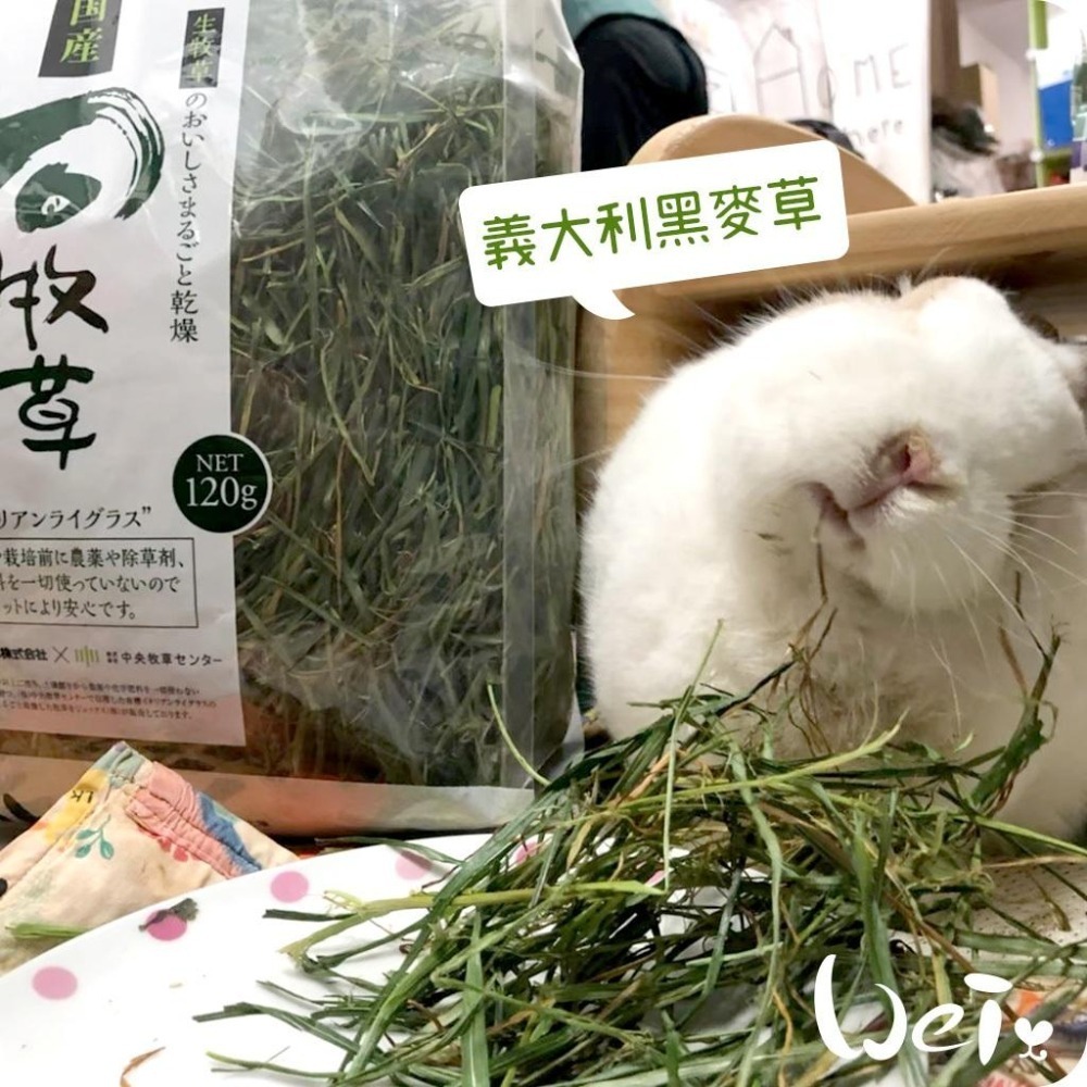 魏啥麻-日本GEX 旬 義大利黑麥草 120g / 300g(兔 天竺鼠 龍貓牧草)旬牧草-細節圖4