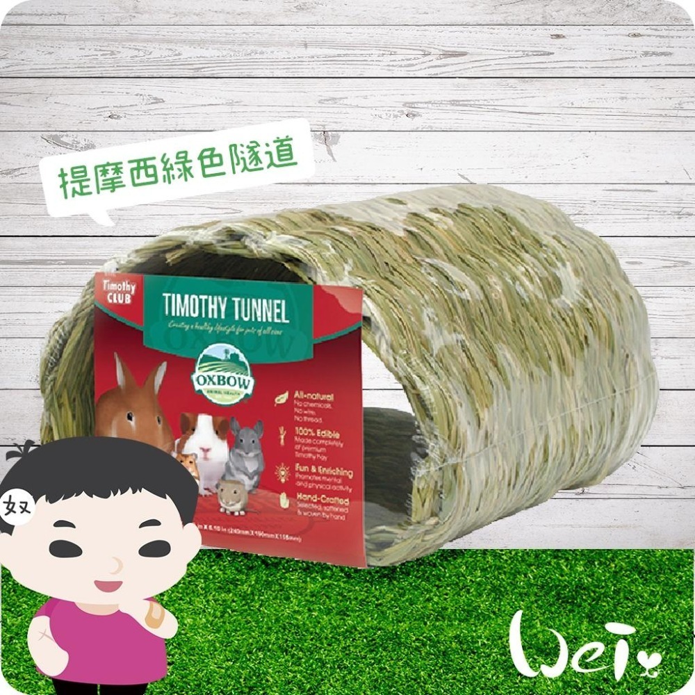 魏啥麻-美國OXBOW 提摩西綠色隧道 (磨牙草編玩具)(兔 天竺鼠 龍貓牧草玩具)-細節圖2