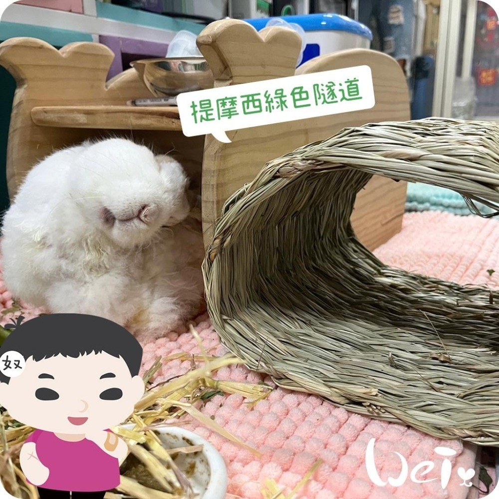 魏啥麻-美國OXBOW 提摩西綠色隧道 (磨牙草編玩具)(兔 天竺鼠 龍貓牧草玩具)-細節圖3
