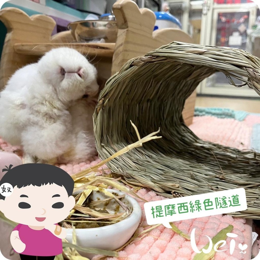 魏啥麻-美國OXBOW 提摩西綠色隧道 (磨牙草編玩具)(兔 天竺鼠 龍貓牧草玩具)-細節圖4