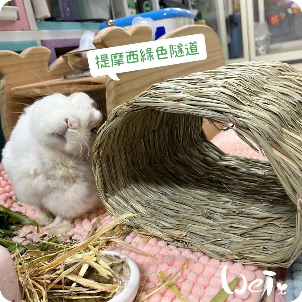 魏啥麻-美國OXBOW 提摩西綠色隧道 (磨牙草編玩具)(兔 天竺鼠 龍貓牧草玩具)-細節圖5