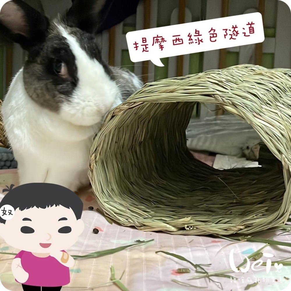 魏啥麻-美國OXBOW 提摩西綠色隧道 (磨牙草編玩具)(兔 天竺鼠 龍貓牧草玩具)-細節圖6