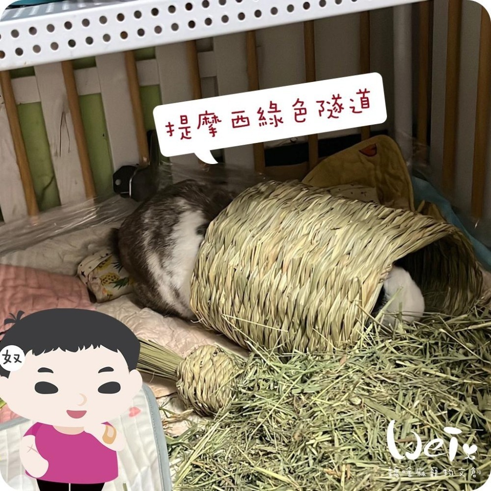 魏啥麻-美國OXBOW 提摩西綠色隧道 (磨牙草編玩具)(兔 天竺鼠 龍貓牧草玩具)-細節圖7