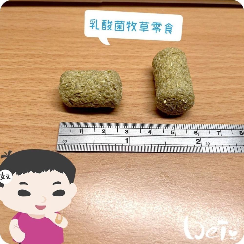 魏啥麻-日本HI PET 乳酸菌牧草零食 55g (含苜蓿 腸道保健)(兔 天竺鼠零食)-細節圖3