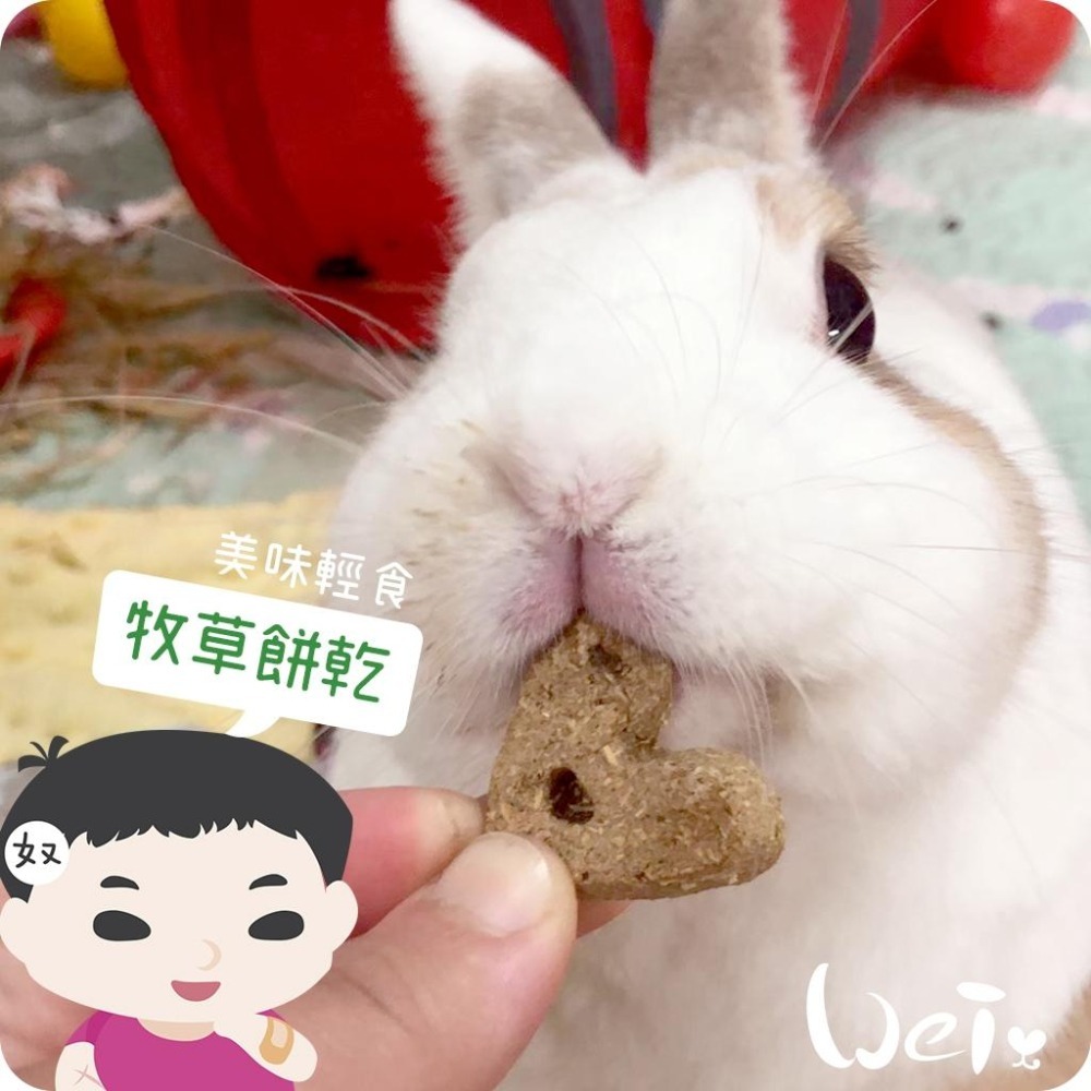 魏啥麻-美國OXBOW甜椒牧草烘焙零食 85g (牧草餅)(兔 天竺鼠)-細節圖3