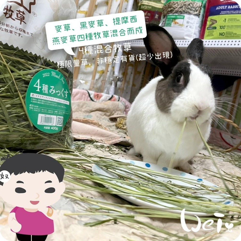 魏啥麻-日本WOOLY高原的四種混合草 400g (麥草 黑麥草 提摩西 燕麥草) (兔 天竺鼠 龍貓牧草)-細節圖2