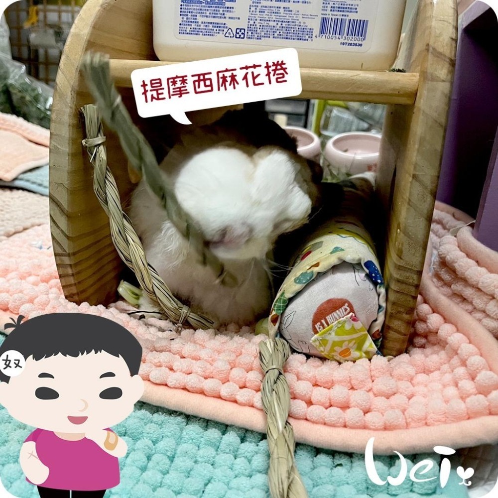 魏啥麻-美國OXBOW 提摩西麻花捲 6入 (磨牙草編玩具)(兔 天竺鼠 龍貓牧草玩具)-細節圖3