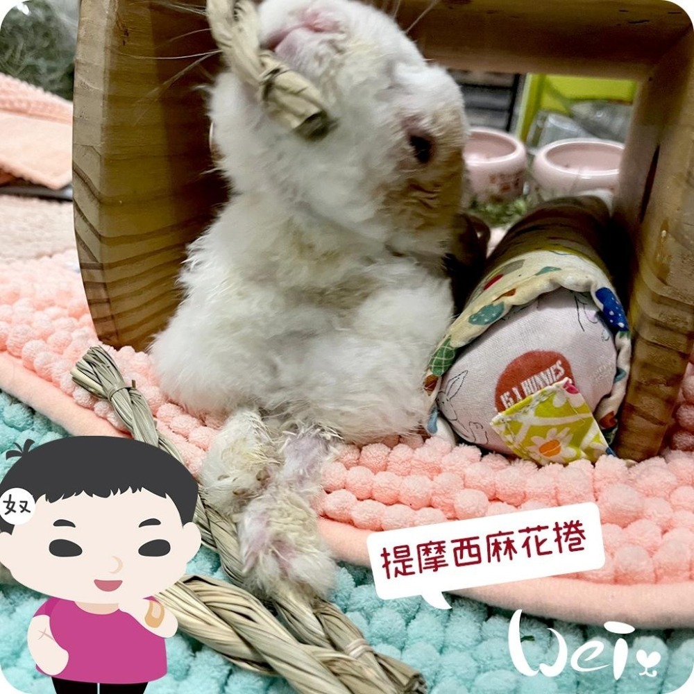 魏啥麻-美國OXBOW 提摩西麻花捲 6入 (磨牙草編玩具)(兔 天竺鼠 龍貓牧草玩具)-細節圖5