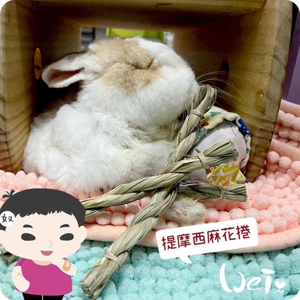 魏啥麻-美國OXBOW 提摩西麻花捲 6入 (磨牙草編玩具)(兔 天竺鼠 龍貓牧草玩具)-細節圖7