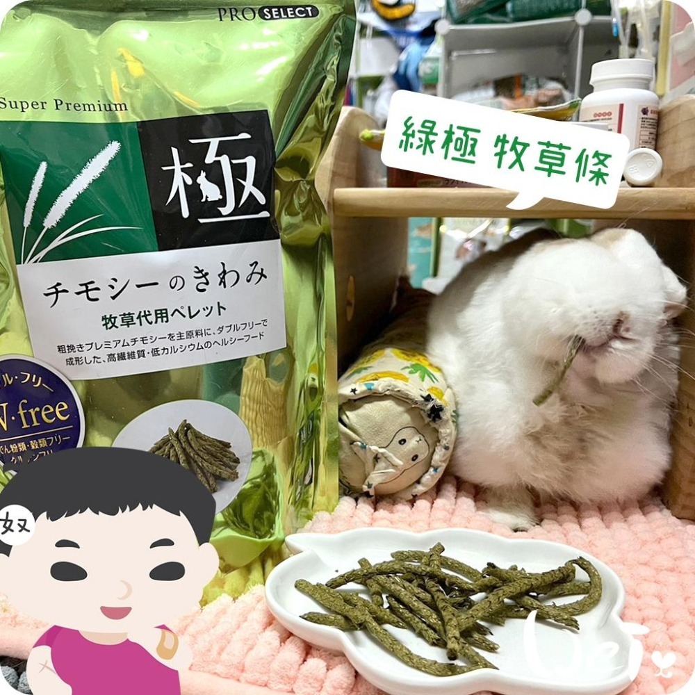 魏啥麻-日本HI PET 綠極牧草條 400g(低鈣 無苜蓿無澱粉穀物 添加乳酸菌)(兔 天竺鼠)-細節圖4