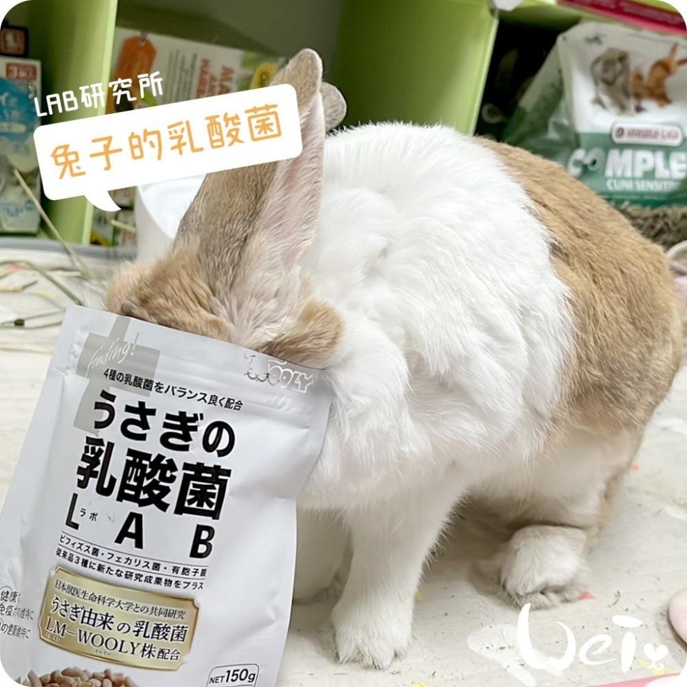 魏啥麻-日本WOOLY兔子的乳酸菌LAB研究所(4種乳酸菌 蘋果纖維 寒天寡糖 無小麥)兔 天竺鼠保健品-細節圖4