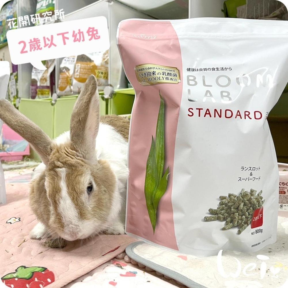 魏啥麻-日本WOOLY花開研究所2歲以下幼兔飼料 800g(無小麥 低鈣 鬆軟 辣木葉 螺旋藻 乳酸菌)兔飼料-細節圖2