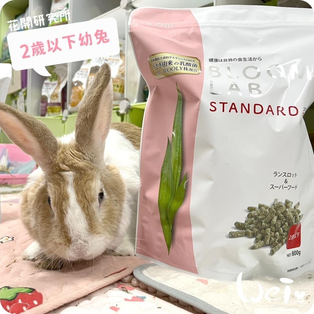 魏啥麻-日本WOOLY花開研究所2歲以下幼兔飼料 800g(無小麥 低鈣 鬆軟 辣木葉 螺旋藻 乳酸菌)兔飼料-細節圖3