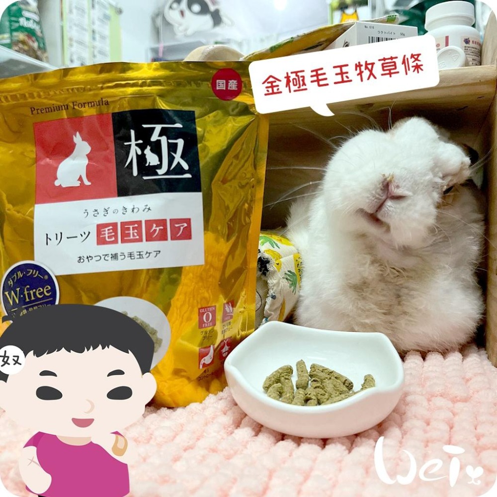 魏啥麻-日本HI PET金極毛玉牧草條 100g (無穀無麩質無苜蓿 木瓜酵素+維生素C)(兔 天竺鼠)-細節圖2